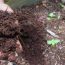 Make compost at home – An easy and complete guide
