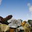 Recycling: A Guide for Eco-Conscious Citizens
